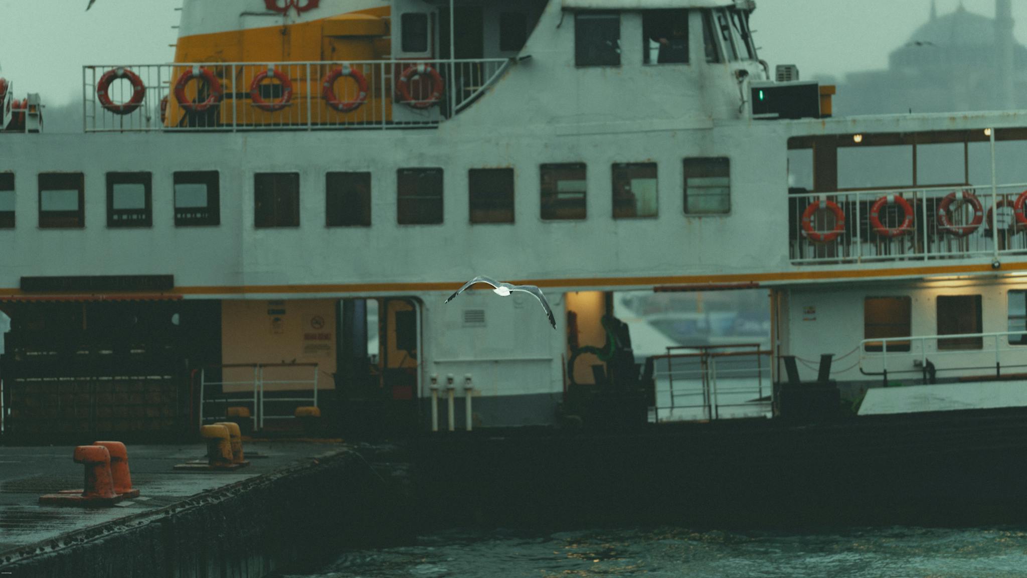 A seagull flying by a moored ferry on a misty day, creating a serene coastal scene.